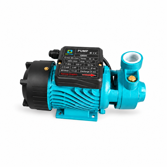 Pompe à eau QB80 – 1 HP